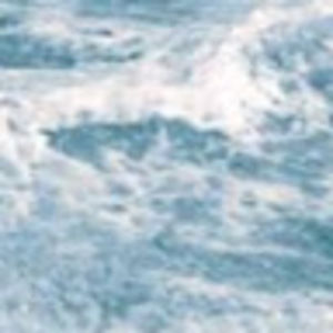 Meet your Posher, Kamryn